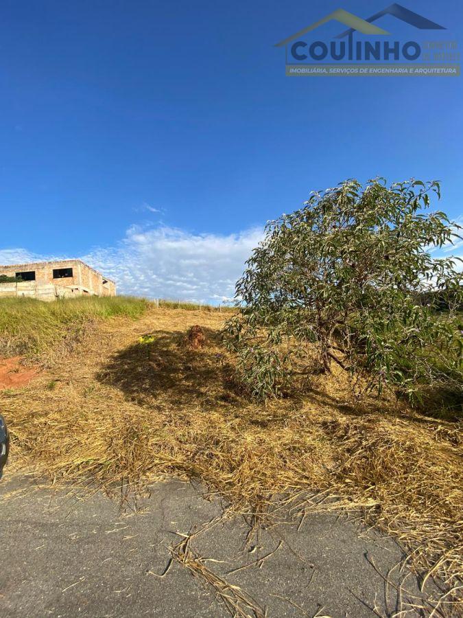 WhatsApp Image 2025-06-09 at 16.19.38.jpeg